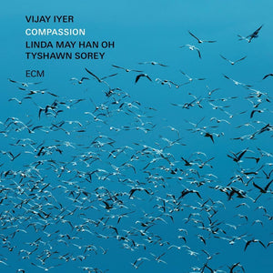 Vijay Iyer - Compassion