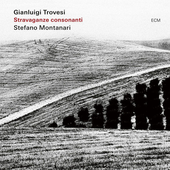 Gianluigi Trovesi & Stefano Montanari - Stavaganze Consonanti